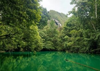 Taman Sungai Dumaring, Destinasi Wisata Alam Yang Mendukung Konservasi Di Berau