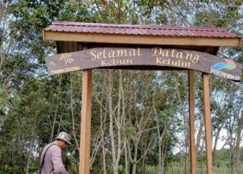 Desa Wisata Kebun Selulut Di Sangatta, Destinasi Edukasi Dan Keindahan Alam
