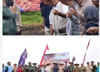 Pj Gubernur Kaltim Dorong Pengembangan Pertanian Melalui Gerakan Tanam Jagung