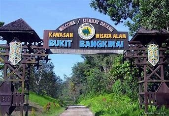 Menyusuri Keindahan Alam Bukit Bangkirai: Surga Hutan Tropis di Kalimantan Timur
