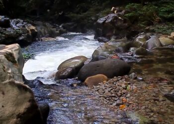 Pesona Air Terjun Tengkuyung yang Menyegarkan di Kalimantan Timur