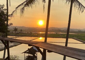 Temukan Keindahan Tersembunyi di Samarinda, Wisata Sudut Pandang yang Instagramable