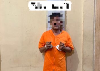 Bawa Empat Paket Sabu di Sei Lepan, Sat Resnarkoba Polres Langkat Tangkap SF