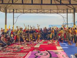 Desa Wisata Bangun Mulya, Pesona Alam Dan Tradisi Di Penajam Paser Utara