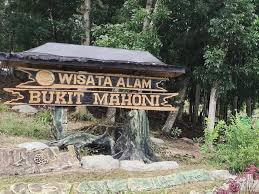 Pesona Bukit Mahoni Di Desa Bangun Rejo, Surga Tersembunyi Di Kutai Kartanegara