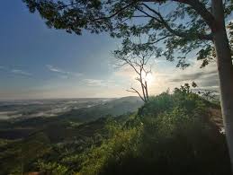 Pesona Bukit Embun Desa Semoi Dua, Negeri Di Atas Awan Yang Menawan