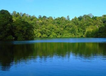Danau Haji Buang, Keindahan Alam Tersembunyi Di Pulau Maratua
