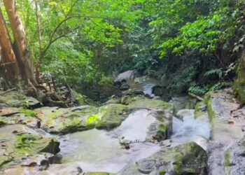 Pesona Tersembunyi Air Terjun dan Danau Hijau Perjiwa, Surga Alam di Tenggarong