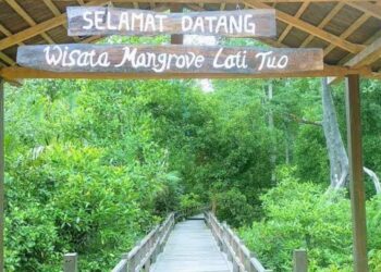 Liburan Tenang di Desa Wisata Mangrove Lati Tuo, Nikmati Keindahan Alam yang Masih Terjaga di Kabupaten Paser