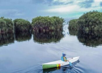 Rasakan Kedamaian dan Keindahan Alam di Danau Melintang, Destinasi Ekowisata Kaltim