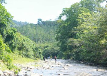 Sungai Batuan Jernih di Kampung Merasa Jadi Tuan Rumah bagi Petualangan Arung Jeram yang Menantang