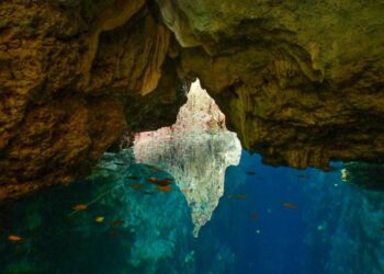 Jelajahi Goa Aji Mangku, Surga Tersembunyi untuk Pencinta Cave Tubing di Pulau Maratua
