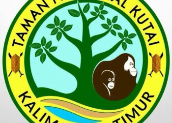 Taman Nasional Kutai: Habitat Orangutan yang Eksotis