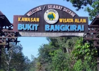Bukit Bangkirai: Jembatan Canopy di Atas Hutan