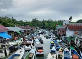 Kampung Talisayan: Menyapa Hiu Paus di Habitat Aslinya     Infobenua.com Samarinda: