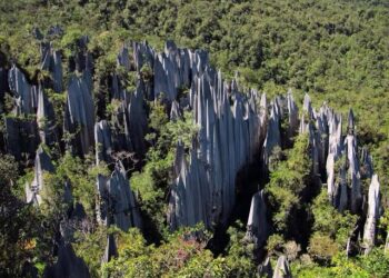 Taman Nasional Kayan Mentarang: Surga Alam yang Terlupakan