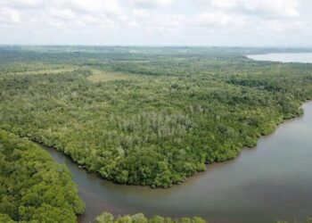 Kutai Timur: Wisata Alam dan Kekayaan Budaya yang Tak Terbatas