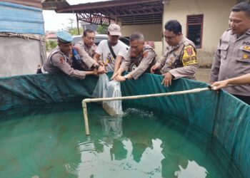 Kapolsek Hinai Dukung Ketahanan Pangan dengan Budidaya Ikan Lele