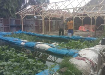 Bhabinkamtibmas Polsek Stabat Ajak Warga Desa Banyumas Manfaatkan Pekarangan untuk Ketahanan Pangan
