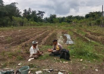 Bhabinkamtibmas Polsek Stabat Dukung Petani Lokal, Sambangi Lahan Pertanian di Desa Pantai Gemi