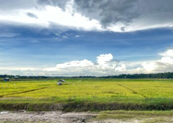 Camat Marang Kayu Dukung Program Brigade Pangan di Wilayahnya