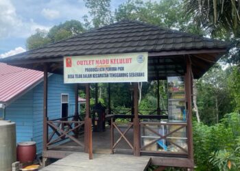 Budidaya Madu Kelulut di Teluk Dalam Tumbuh Pesat, Jadi Sumber Ekonomi Warga