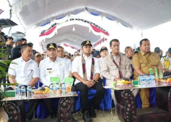 Gubernur Kaltim Optimistis Swasembada Pangan Dicapai dalam Enam Bulan, Fokus pada Pengembangan Pertanian Sawah