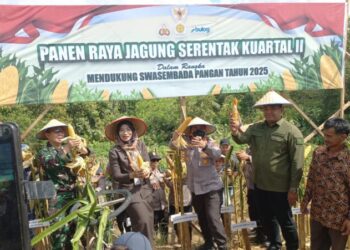 Kapolresta Balikpapan Hadiri Panen Raya Jagung Kuartal II, Presiden RI Pimpin Seremonial Serentak Nasional