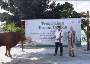 Tingkatkan Kepedulian, Dansat Brimob Polda Kaltim Serahkan Hewan Kurban Usai Shalat Idul Adha
