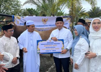 Wagub Seno Serahkan Sapi Kurban Bantuan Presiden RI untuk Warga Kaltim