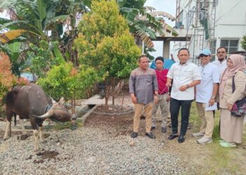Gerindra Kaltim Salurkan Lima Ekor Sapi Kurban, Wagub Seno Aji: Semangat Gotong Royong Kader untuk Masyarakat