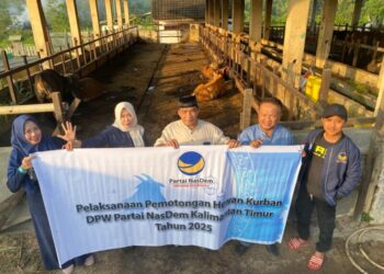 NasDem Kaltim Tebar 23 Ekor Sapi dan 10 Ekor Kambing Qurban untuk Masyarakat