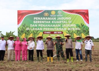 Kapolres Langkat laksanakan Penanaman Jagung Kuartal III di lahan Bhayangkara.