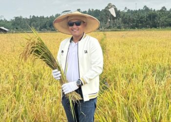 Panen Raya Padi di Lahan Pascatambang, Wagub Seno: Dari Tambang ke Pangan untuk Kesejahteraan Warga