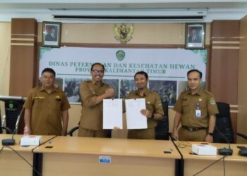 Kerja Sama Distanak Kukar dan DPKH Kaltim Perkuat Lumbung Ternak Daerah