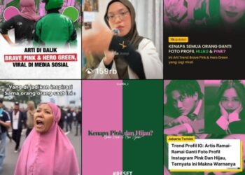 Brave Pink dan Hero Green, Simbol Protes Rakyat Kaltim yang Menggema di Medsos