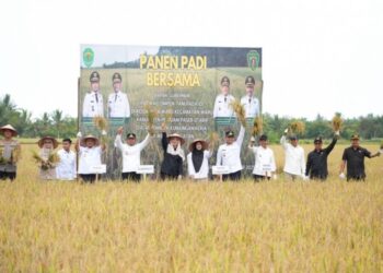 Gubernur Rudy Sebut PPU Tetap Jadi Sentra Padi Kalimantan Timur