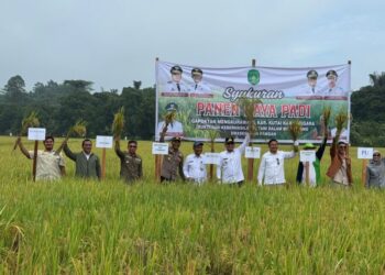 362 Petani Terlibat Dalam Panen Raya di Kelurahan Mangkurawang