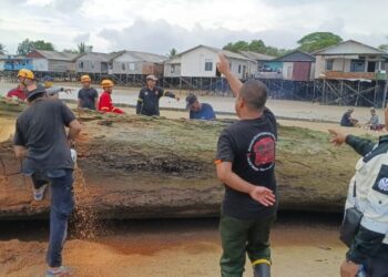 Sat Polairud Polresta Balikpapan Evakuasi Kayu Besar Tersangkut di Pesisir Pantai Damai Bahagia