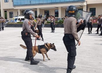 K9 Unit Satwa Diterjunkan dalam Gladi Sispamkota di Polresta Balikpapan