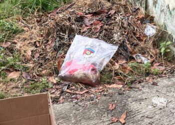 Warga Temukan Orok Bayi di Belakang Hotel Pacific, Polisi Lakukan Penyelidikan