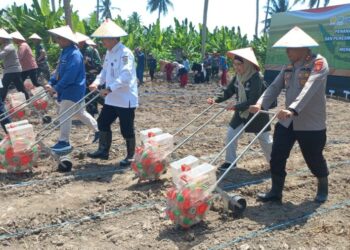 Kapolda Kaltim Gandeng Muspida Kembangkan Ketahanan Pangan Jagung di Kaltim