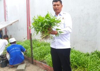 Lapas Kelas IIA Balikpapan Panen Kangkung Cabut, Wujudkan Program Kemandirian dan Dukung Program Ketahanan Pangan Nasional