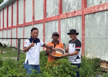 Ketahanan Pangan dari Balik Jeruji, Lapas Balikpapan Panen Cabai untuk Bekal Warga Binaan