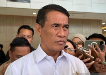 Pemerintah Targetkan Cetak Sawah 400 Ribu Hektare di 2026, Anggaran Disiapkan Rp10 Triliun