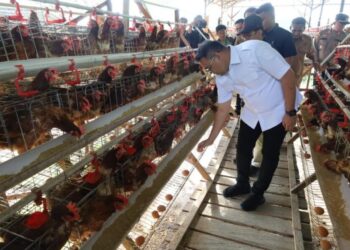 BUMDes Loa Duri Ilir Jadi Role Model, DPRD Sebut Desa Sudah Masuk Kategori Mandiri Secara Ekonomi