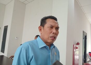 Puluhan Tahun Menanti, Listrik PLN Akhirnya Masuk Desa Karangan Hilir