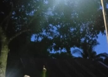 Realisasikan Lampu Penerangan Jalan Di RT 04 Dsn Danau Redan Dari Dana Bankeudes, Ketua RT 04 : Semua Demi Kelancaran Dan Keamanan Warga