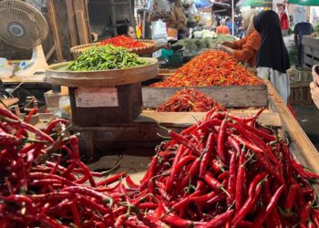Jelang Natal, Harga Cabai di Pasar Segiri Turun Tipis namun Belum Stabil