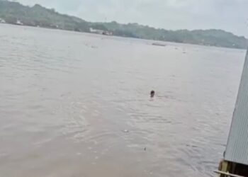 Bocah 7 Tahun Dilaporkan Tenggelam di Sungai Mahakam, Pencarian Masih Berlangsung